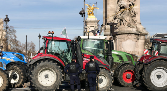 Thumbnail for 6909006