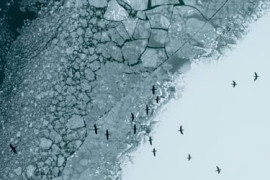 Thumbnail for 6909243