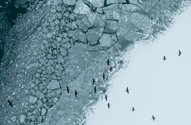 Thumbnail for 6909243