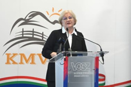 Thumbnail for 6909411