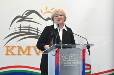 Thumbnail for 6909411