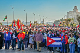 Thumbnail for 6909441