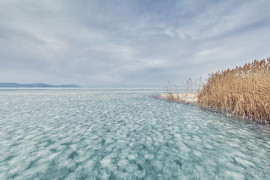 Thumbnail for 6909813