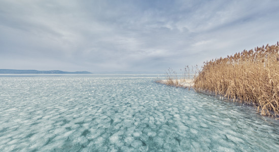 Thumbnail for 6909813