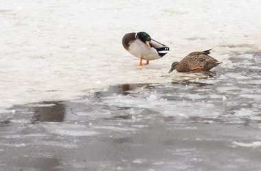 Thumbnail for 6910046