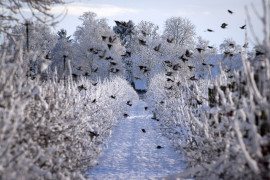 Thumbnail for 6910478