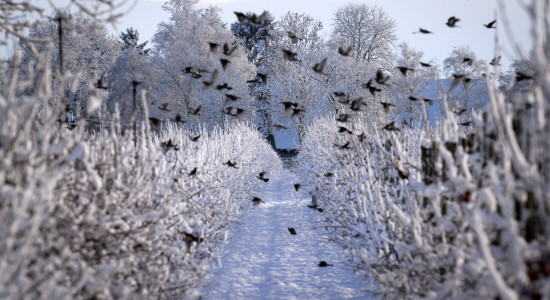 Thumbnail for 6910478