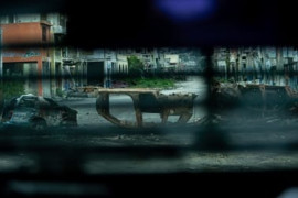 Thumbnail for 6911202