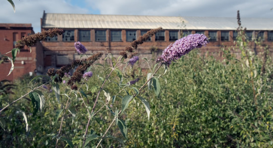 Thumbnail for 6912441