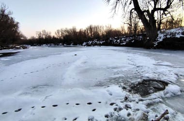 Thumbnail for 6912454