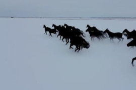 Thumbnail for 6912620