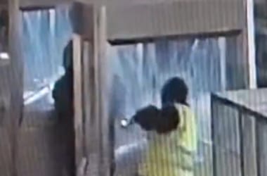 Thumbnail for 6912775