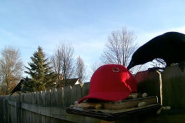 Thumbnail for 6912874