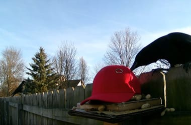 Thumbnail for 6912874