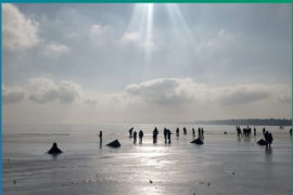 Thumbnail for 6913065