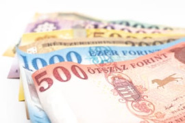 Thumbnail for 6913072