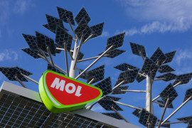 Thumbnail for 6913115