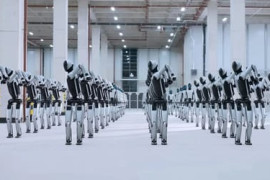 Thumbnail for 6913317