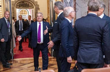 Thumbnail for 6913837