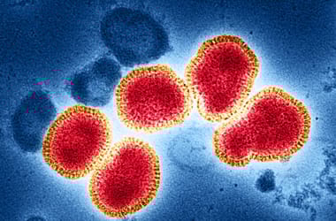 Thumbnail for 6913955