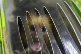 Thumbnail for 6914124