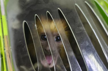 Thumbnail for 6914124