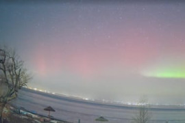 Thumbnail for 6914165