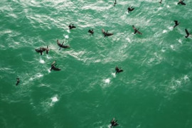 Thumbnail for 6914293