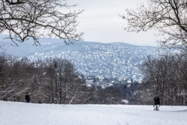 Thumbnail for 6914407