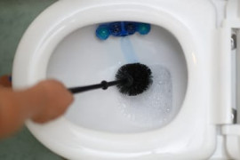 Thumbnail for 6914587