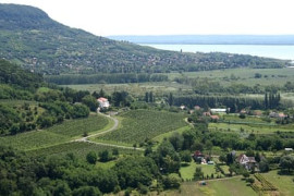 Thumbnail for 6914716