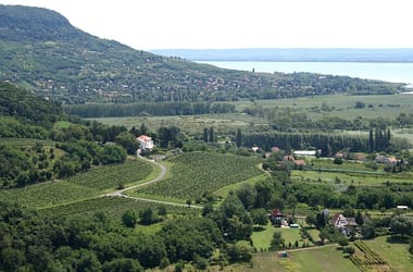 Thumbnail for 6914716