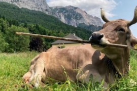 Thumbnail for 6914770