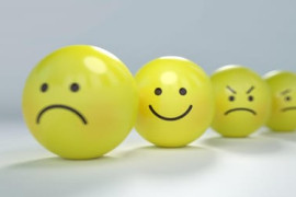 Thumbnail for 6915007