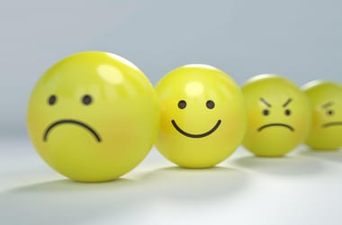 Thumbnail for 6915007