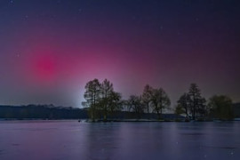 Thumbnail for 6915329