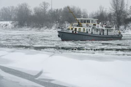 Thumbnail for 6915601