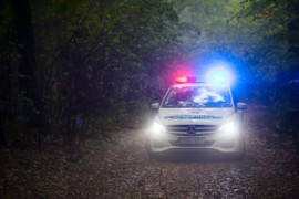 Thumbnail for 6915724