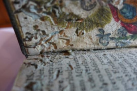 Thumbnail for 6916355