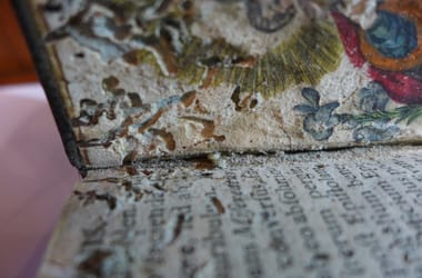 Thumbnail for 6916355