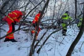 Thumbnail for 6916423