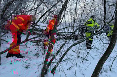 Thumbnail for 6916423