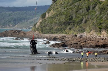 Thumbnail for 6917167