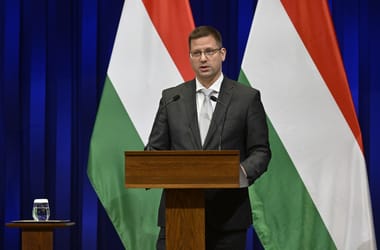 Thumbnail for 6917412