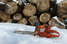 Thumbnail for 6917511