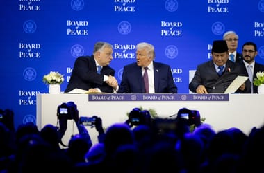 Thumbnail for 6917630