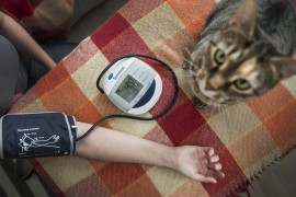 Thumbnail for 6917823