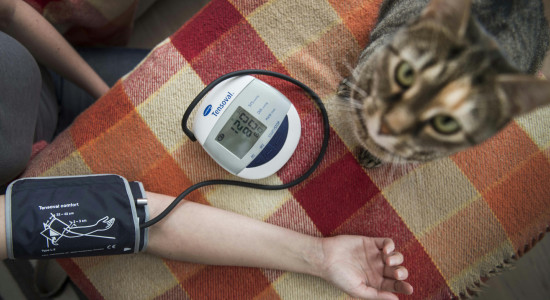 Thumbnail for 6917823