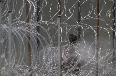 Thumbnail for 6917834