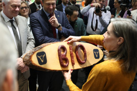 Thumbnail for 6917952